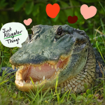 Just Alligator Things