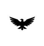 Official touch football clan Falcon