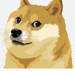 The dog united