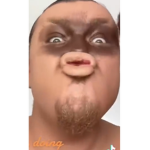 El cacasde cat
