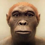 Monkie central