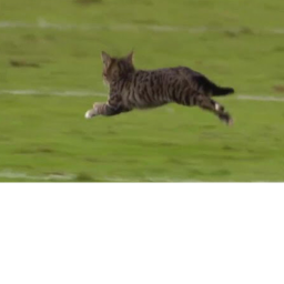 And I Run Run Run run  RUUUUNNNNN ALWAYYYYY🎵