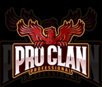 PRO CLAN GROUP(UNOFFICIAL)