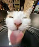 EmmasMoodLive
