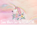 Unicorn fun fairy