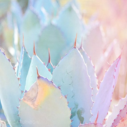 pastel aesthetic Roblox decal