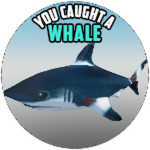 You caught a Whale!