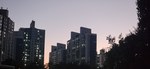 Doil studio