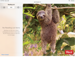 KYLIE THE SLOTH LEADER