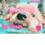 !!-~PREPPY-~LAND-~!!