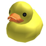 The ducky den
