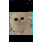 SALDU