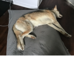 #puting