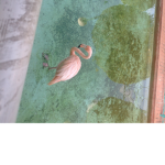 Flamingo rings squad