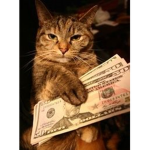 - da cat gangster -