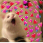 JenLia'sFanGroup