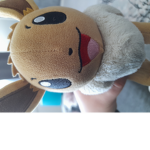Cute eeveelutions group