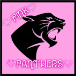 Pink Panthers Cheer Squad