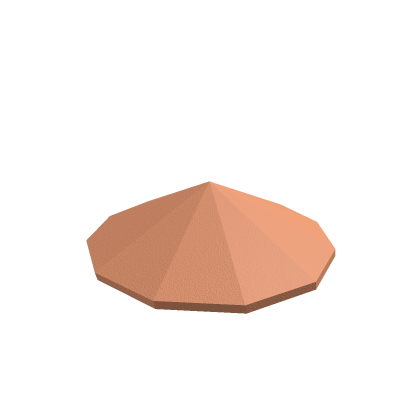 Rice Hat