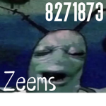 zeems