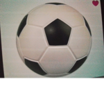 Football supporters h