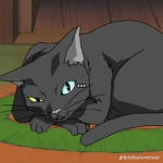 This cat*