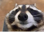 BENNYBEE