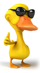Duckybloox Ducky army