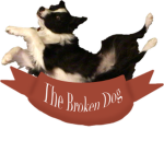 The Broken Dog
