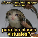 Juanpi torrico