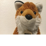 FoxStream Gaming