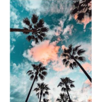 Tropical x vibes
