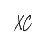 XC그룹
