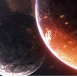 Belnet fox
