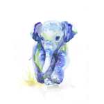 Elephant Extravaganza