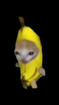 BENNYTHESNIPER FAN GROUP ONLY