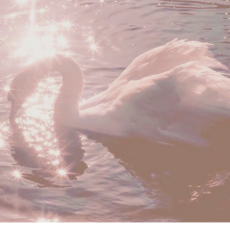 ❁