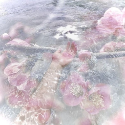 ୨୧  ⁀ ˚ ˳ 🐚