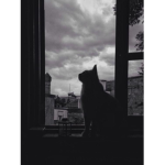 lixly~