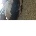 The soft cats