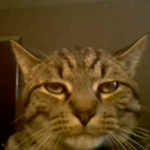 GooberB_oi