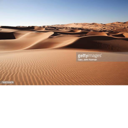 desert battle
