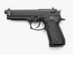 Gun Training