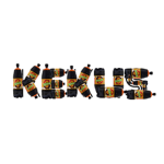 KEKUS team