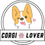 The Corgi Fan's