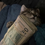 JJPlayzyt