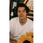 ~sunflower memory~