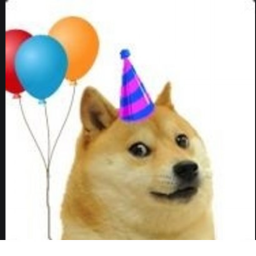 Doge Party