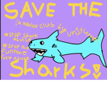 Save our sharks!
