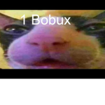 jam ;-;